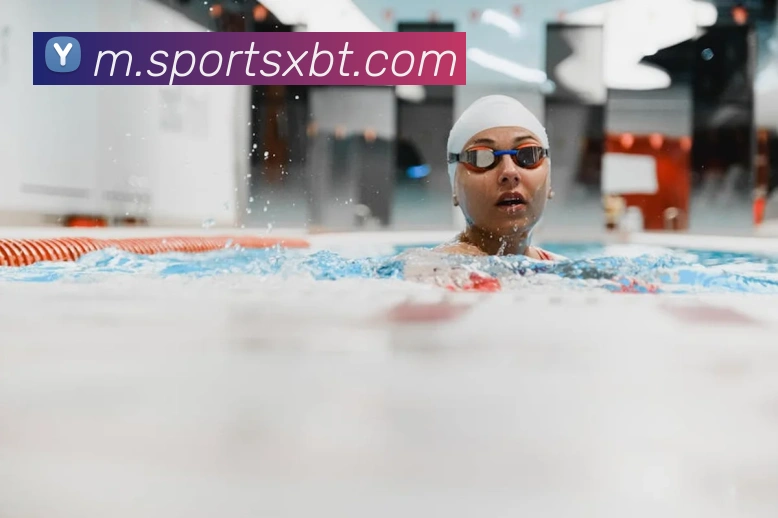 球赛投注平台生态图